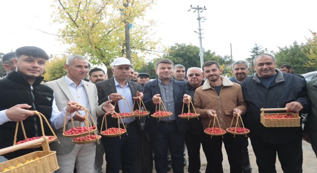 Akyamaç’ta 2. Alıç Festivali Coşkusu