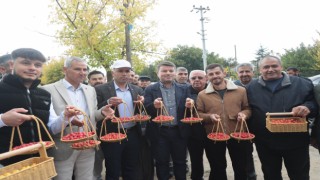 Akyamaç’ta 2. Alıç Festivali Coşkusu