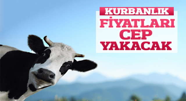 Kurban Fiyatları Cep Yakacak