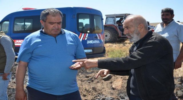 100 Dekarlık Tarladaki Arpa ve Buğday Yanarak Kül Oldu