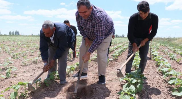 Tarımsal Üretim Hız Kesmeden Devam Ediyor