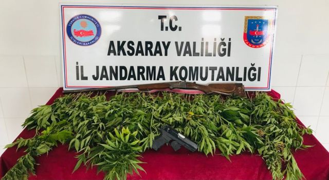 Jandarmadan Uyuşturucu Operasyonu