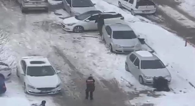 Adliye Otoparkında Kardeşini Öldürdü