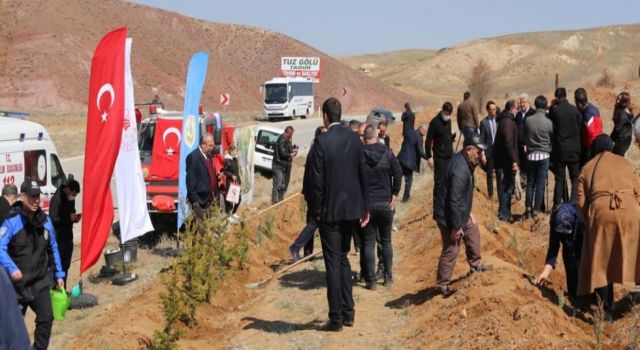 Aksaray’da Şehit ve Gaziler Ormanı İçin 350 Fidan Dikildi