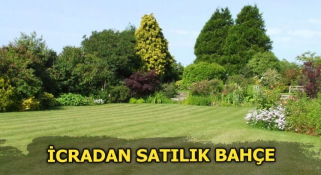 Tokat Merkez'de İcradan Satılık 1.440 m² Bahçe (Çoklu Satış)