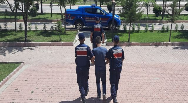 Zehir Taciri Firari Taptuk Emre Köyünde Yakalandı