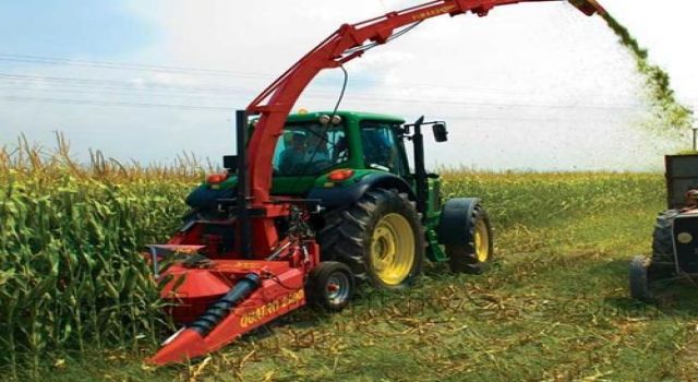 Silaj Mısırın Taşınması, Çiğnenmesi Ve İstiflenmesi Hizmeti Alınacak