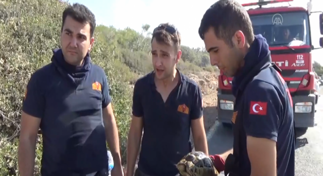 Aksaray İtfaiyesinden Yangın Bölgesindeki Kaplumbağaya Yardım Eli