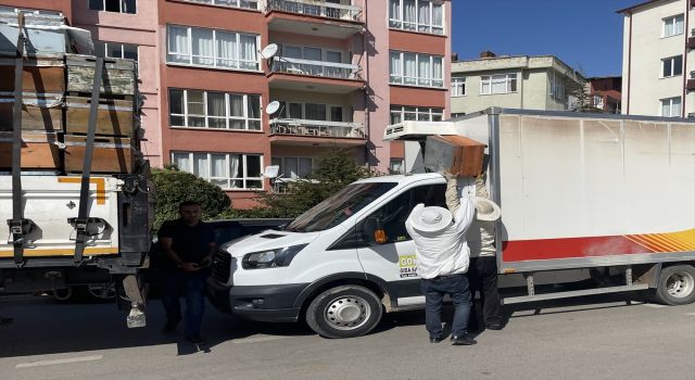 Kamyona Çarpan Tırdaki Kovanlarda Bulunan Arılar Çevredekilere Zor Anlar Yaşattı