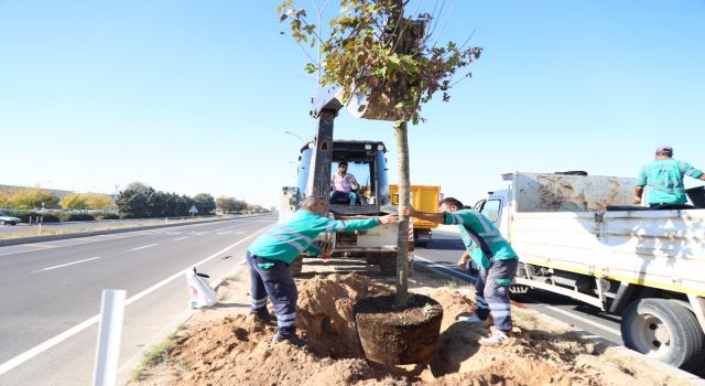 Konya Yolunda Ağaçlandırma Çalışması Başlatıldı