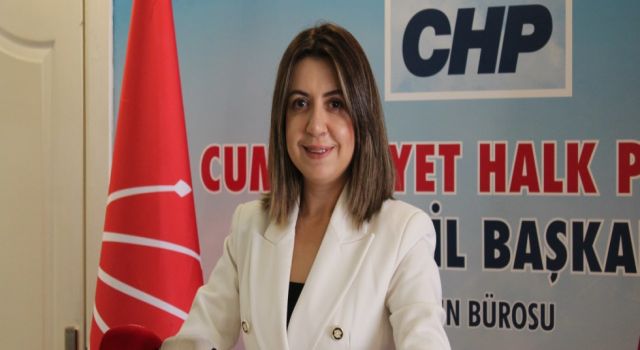 Özdemir “İktidar Özgürlüğün Altına Dinamit Koydu”