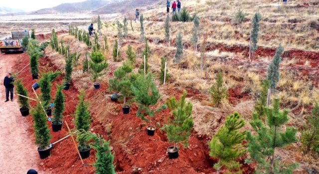 Fidanlar Öğretmenler Adına Toprakla Buluşacak