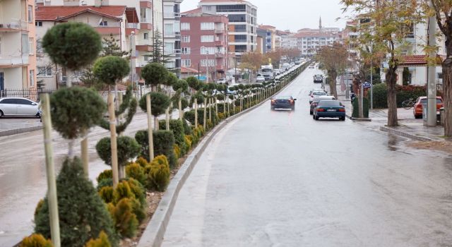 Şehre Yakışıyor