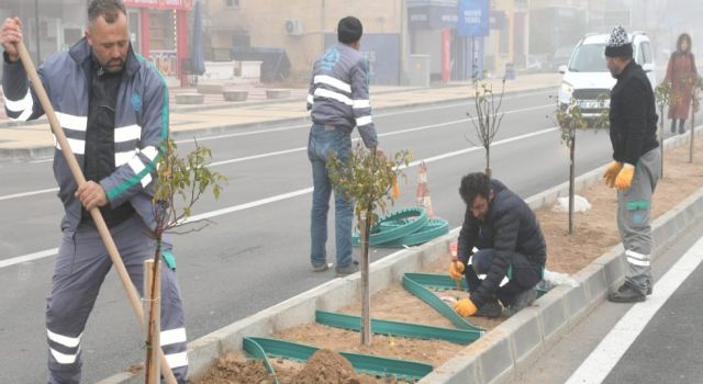 Yeşil Alan Varlığı Artıyor