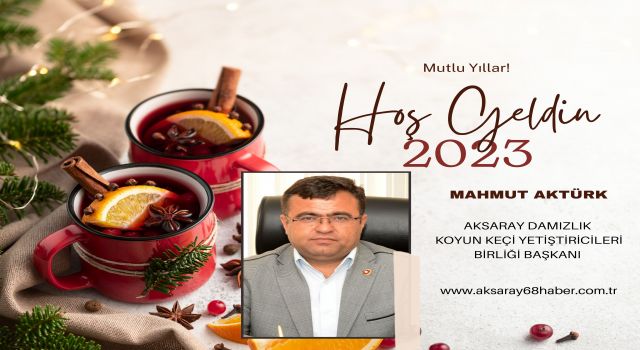 Yılbaşı Kutlama İlanlar