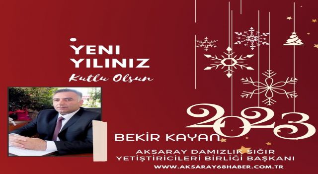 Yılbaşı Kutlama İlanlar
