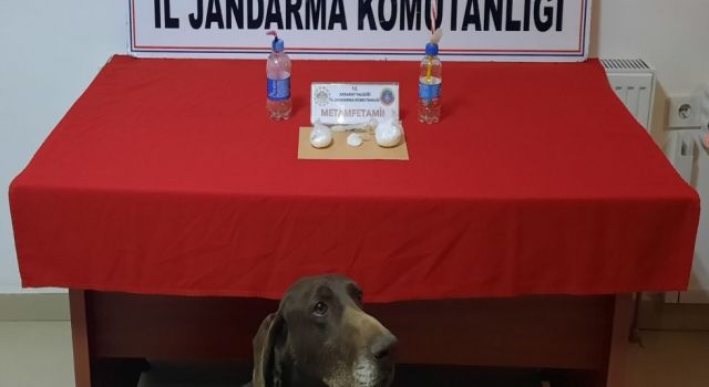 Zehir Tacirlerini Jandarma Yakaladı
