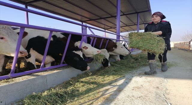 ASÜ Mezunu Kadın Girişimci Kendi Çiftliğini Kurdu