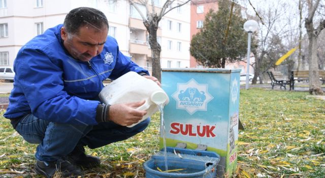 Belediye Soğuk Havada Yürekleri Isıttı