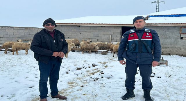 Kayıp Koyunlar Drone ile Bulundu