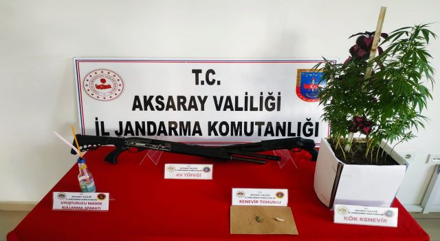 Jandarmanın Zehir Mücadelesi Sürüyor