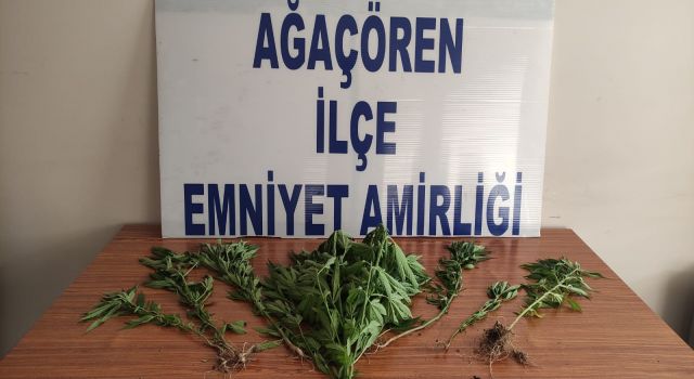 Ağaçören’de Asayiş Berkemal