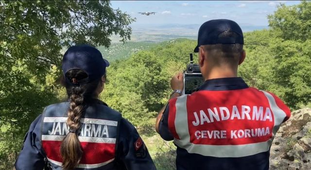 Jandarma Mesire Alanlarını Denetledi