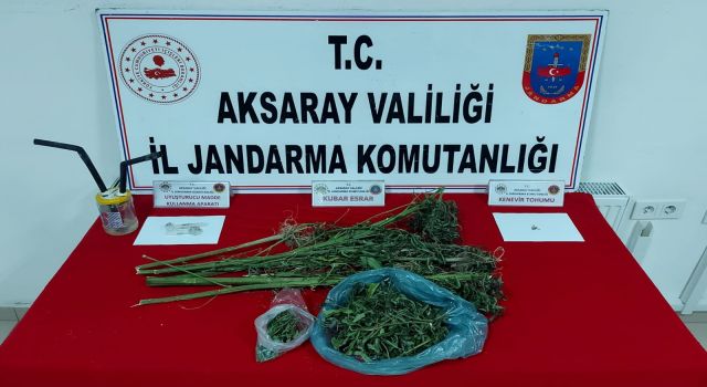 Jandarma Uyuşturucu Savaşını Sürdürüyor