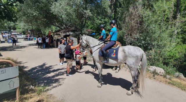 Turizm Sahalarında Asayiş Berkemal