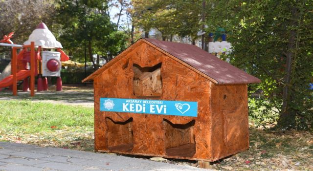 Belediyenin Kedi Evleri Hayvanseverlerden Tam Not Aldı