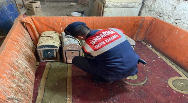 Horoz Dövüştüren 7 Kişiye 95 Bin Lira Ceza