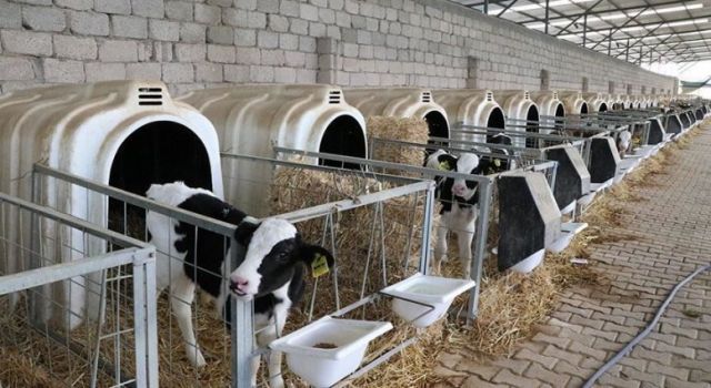 Tarımsal Girdi Maliyeti Bir Yılda Yüzde 45 Arttı