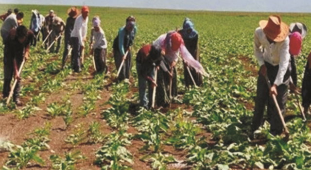 Çadır Hayatına Son