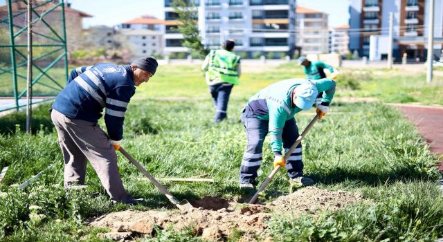 Hedef “Yeşil Aksaray ”Park ve Bahçelerde Çalışmalar Başladı