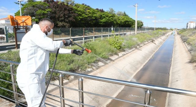 Belediye Yaz Öncesi Haşerat Mücadelesi Başlattı