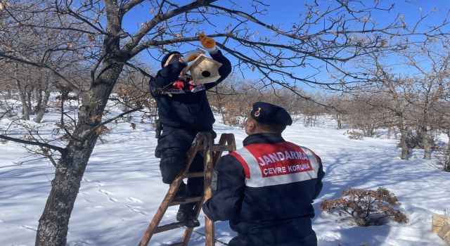 Jandarma Ekipleri Kuşları Unutmadı