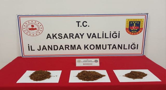 Jandarma Operasyonu Sonrası 2 Zehir Taciri Daha Tutuklandı
