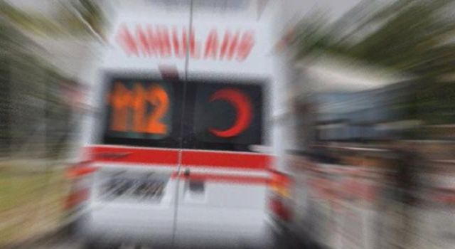 Otomobilin Aniden Yola Atlayan Ata Çarptığı Kazada, At Telef Oldu