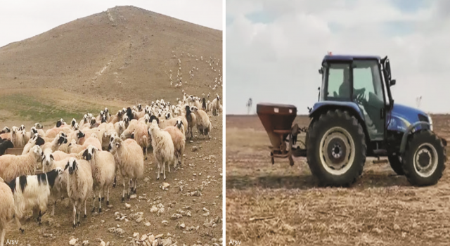 Besicilerden Yetkililere Çağrı “Mera Tecavüzlerine Göz Yumulmasın”