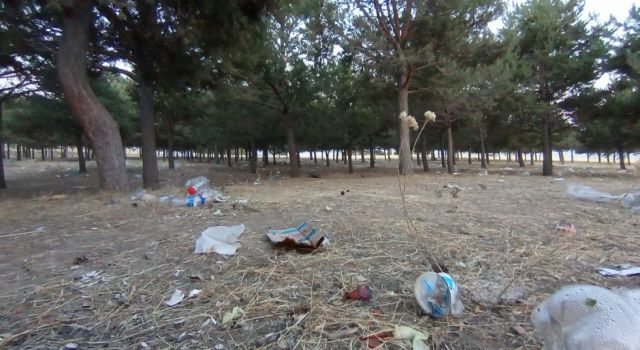 “Bu Doğa Hepimizin”