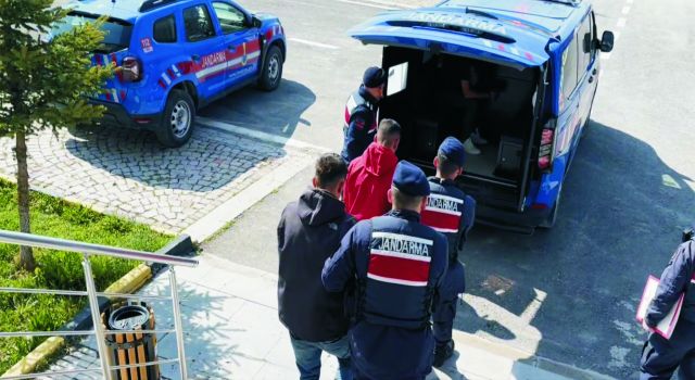 Küçükbaş Hayvan Hırsızları Jandarmadan Kaçamadı