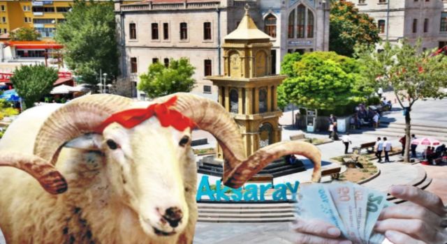 Emekliler Net Konuştu “Ne Kurbanı? Ay Sonunu Getiremiyoruz”