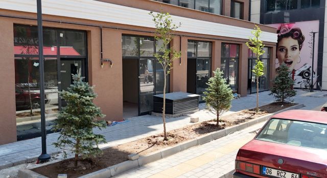 Hamidiye Kentsel Dönüşüm Alanında Kaldırım ve Peyzaj Çalışması Başladı