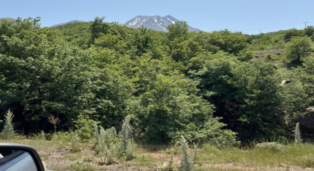 “Piknik Ateşlerine Dikkat!”