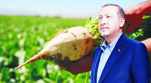Pancar Alım Fiyatı Değişti