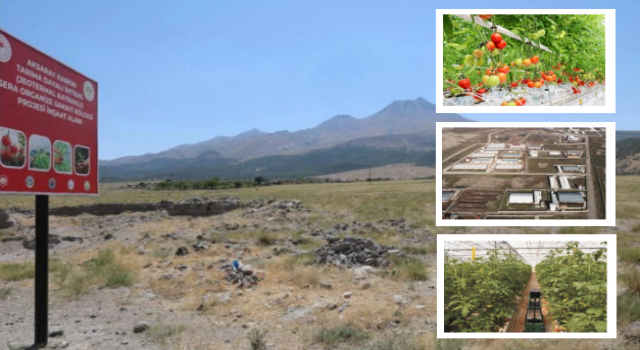 3.5 Sene Önce Müjdelenen TDİOSB Ne Durumda?