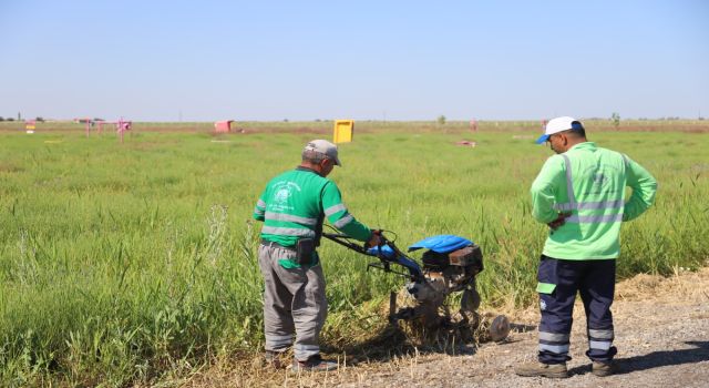 Aksaray Lavanta Bahçesi Yeni Sezona Hazırlanıyor