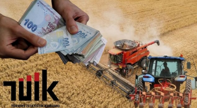 TÜİK “Artış Yüzde 43” Dedi TMO Yüzde 16 Artış Yaptı