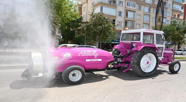 Aksaray Sokaklarında Lavanta Esintisi