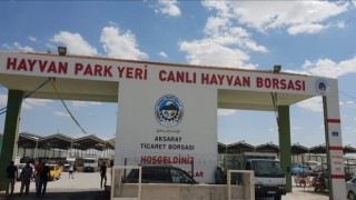 Hayvan Pazarı Tekrar Açılıyor